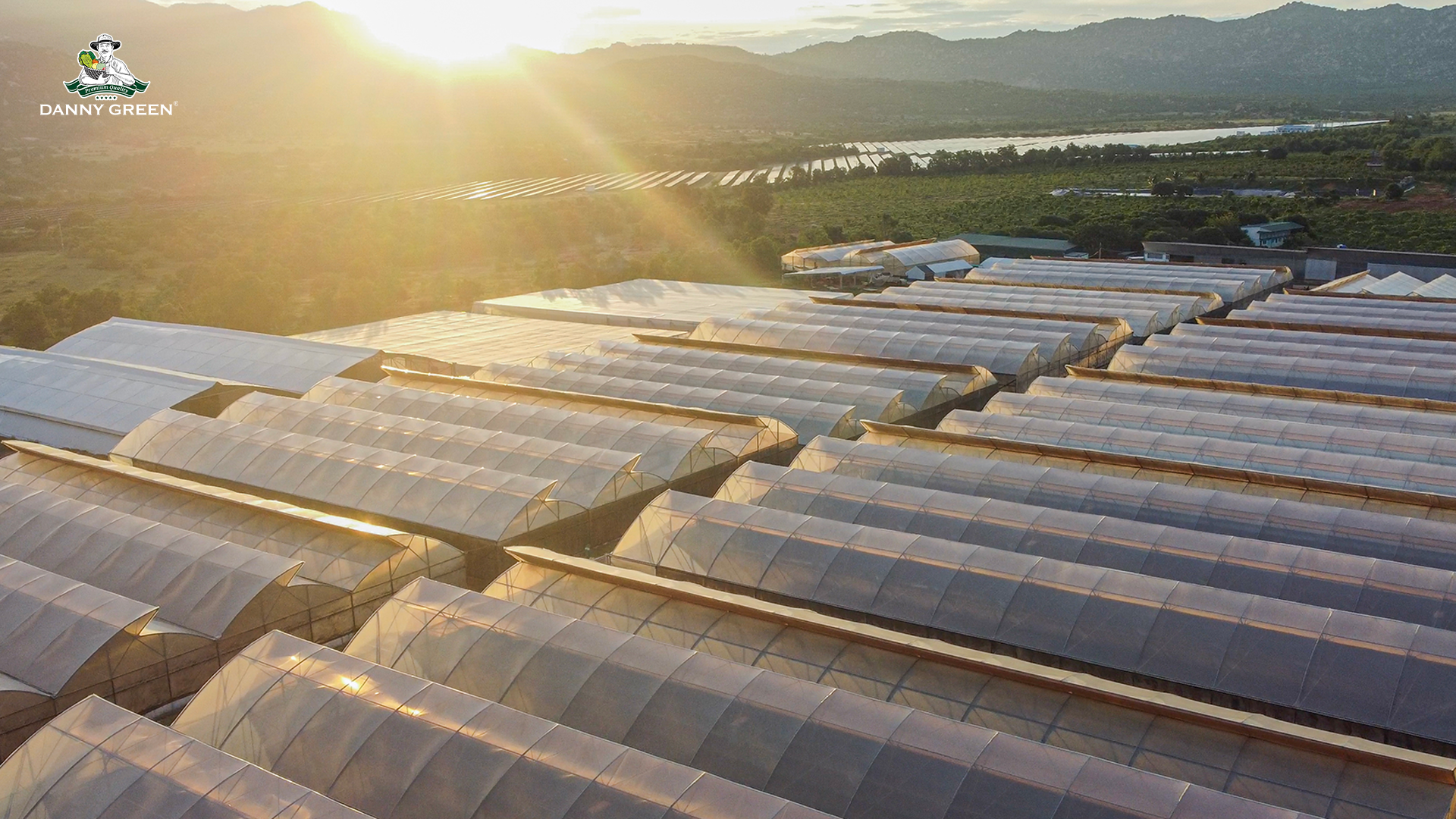 DannyGreen Organic Farm Son Hai Ninh Thuan - Nông Trại Hữu Cơ DannyGreen Sơn Hải Ninh Thuận