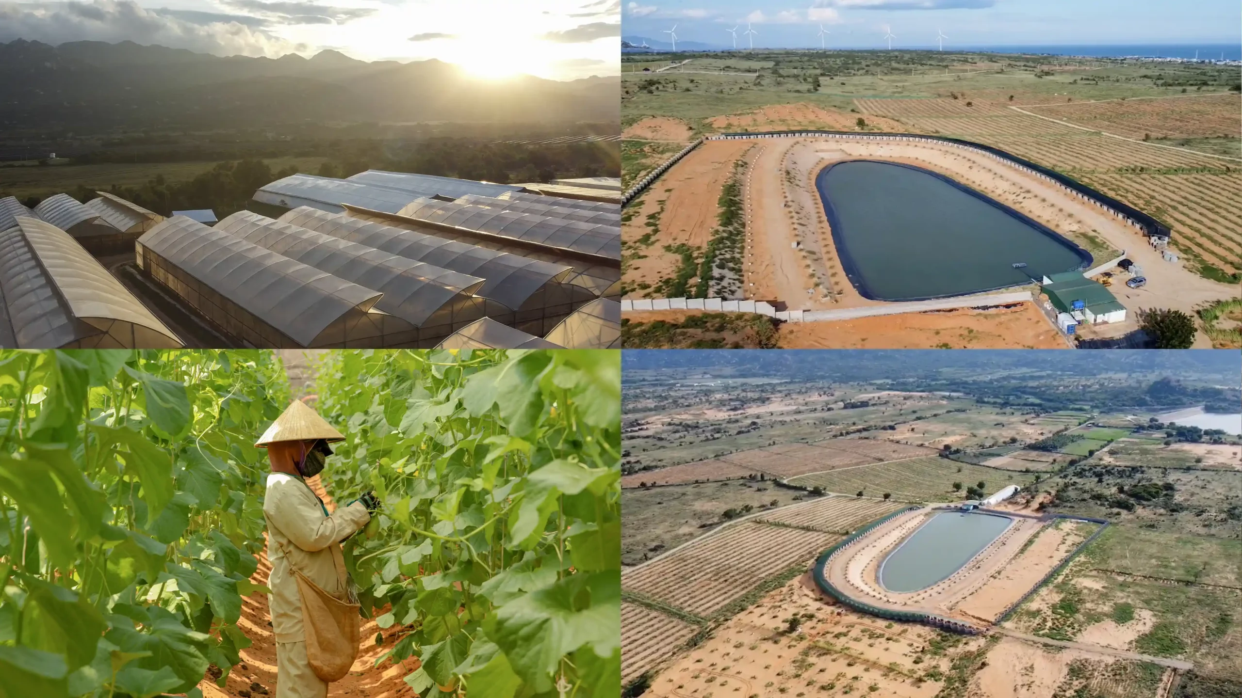 DannyGreen 山海有机农场 -宁顺