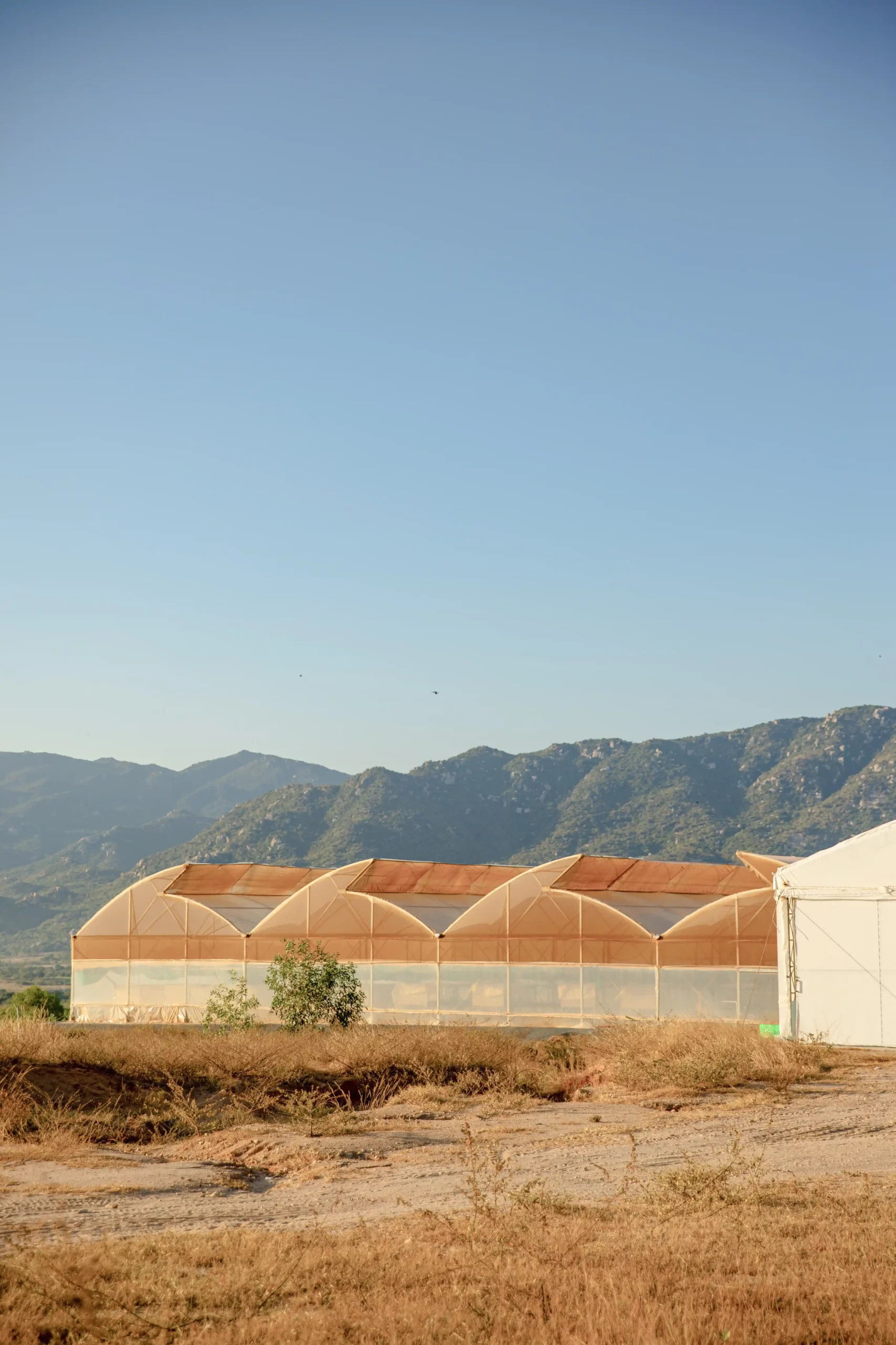 DannyGreen 有机农场山海 - 宁顺