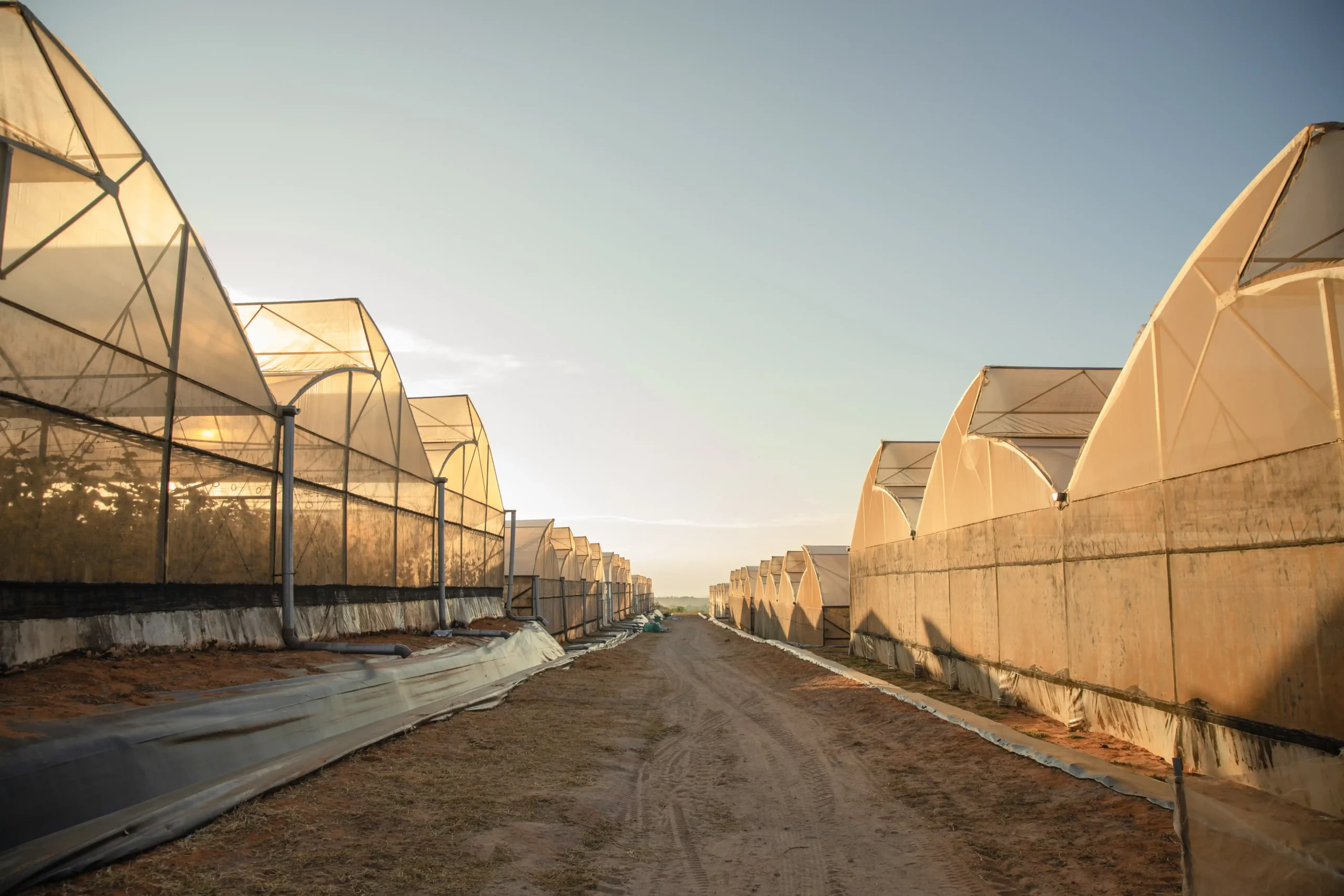 DannyGreen 有机农场山海 - 宁顺