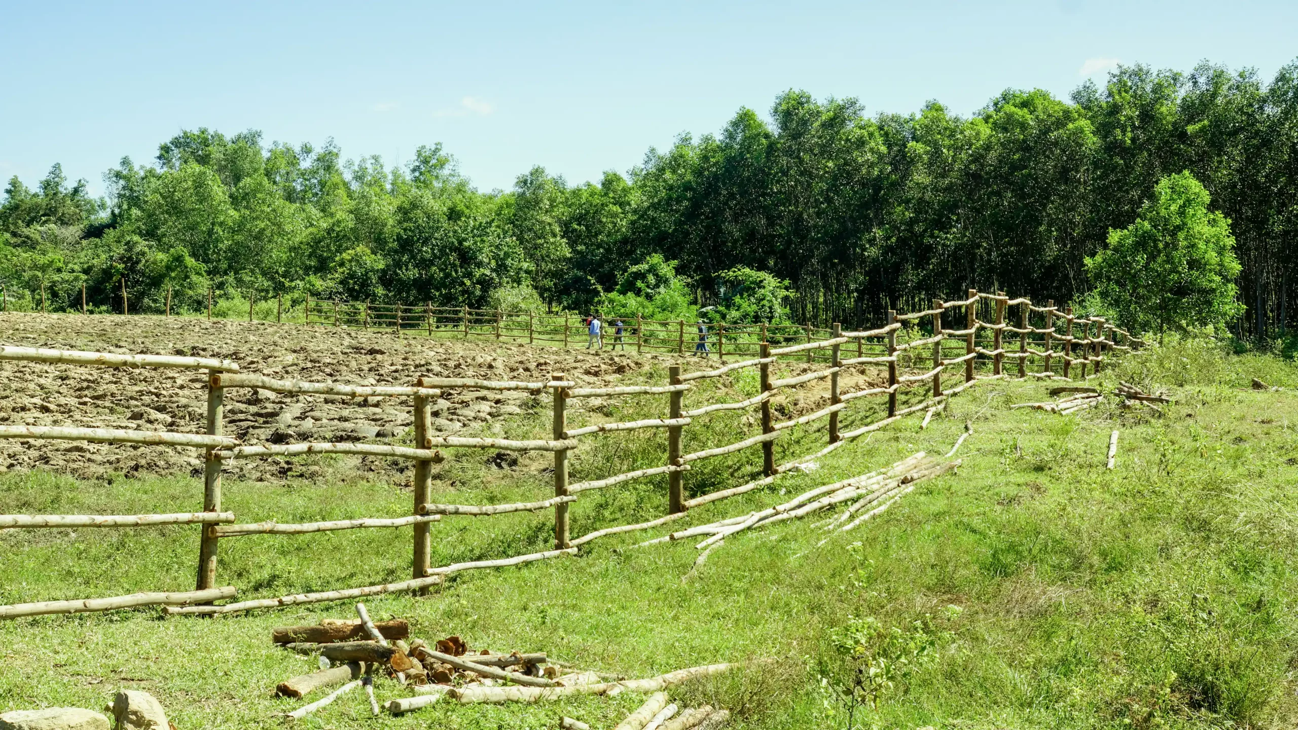 DannyGreen Don Duong 林场 - 林同