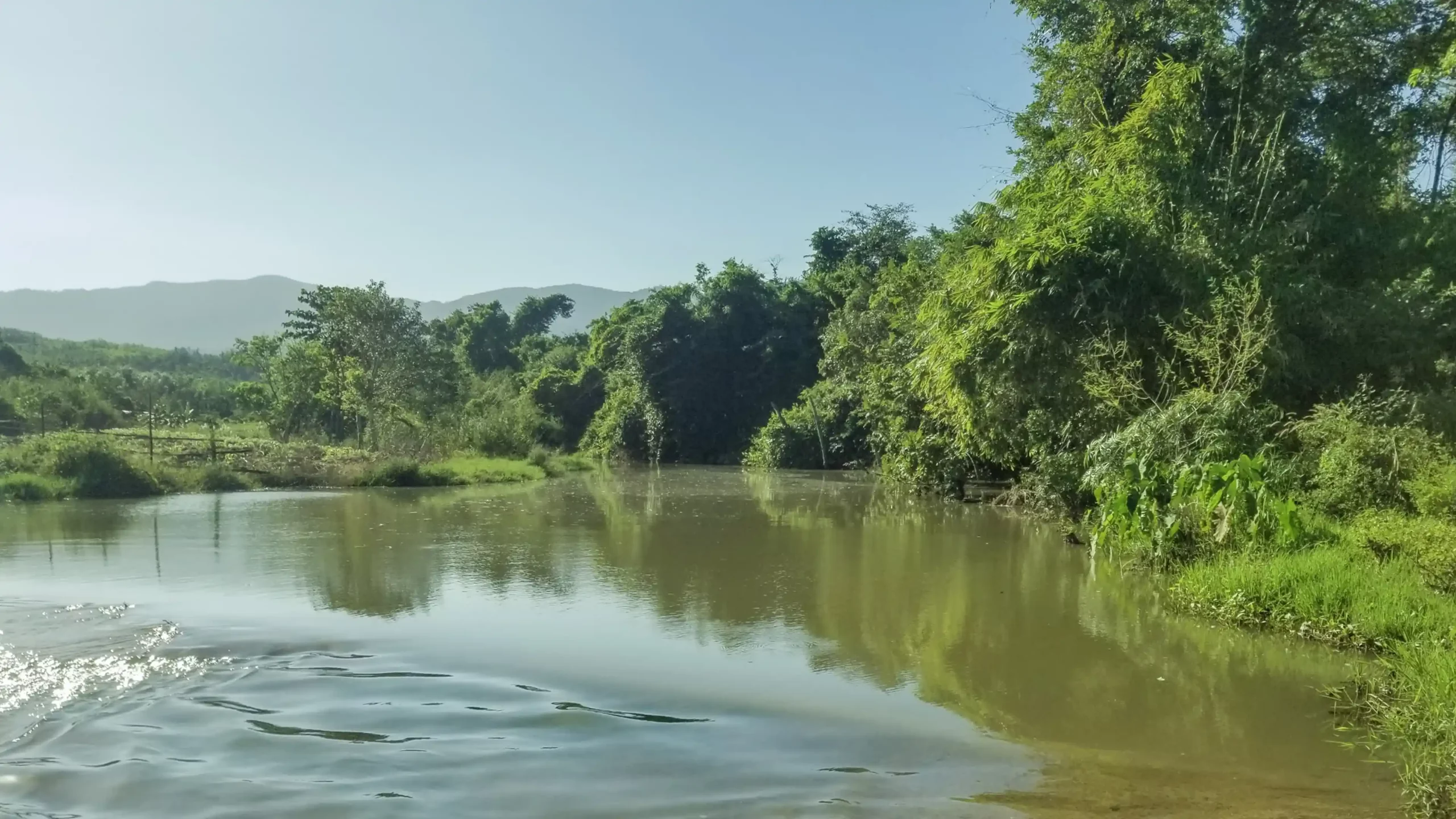 DannyGreen Don Duong 林场 - 林同