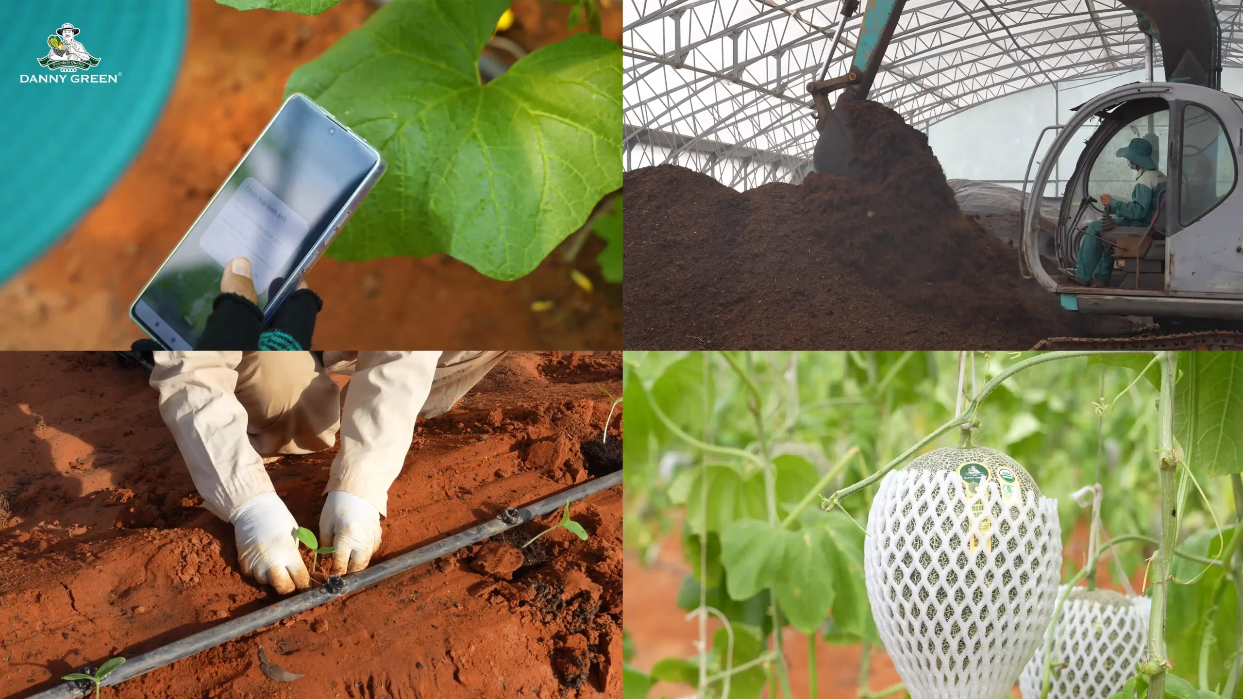 DannyGreen 有机农场的高科技有机农业