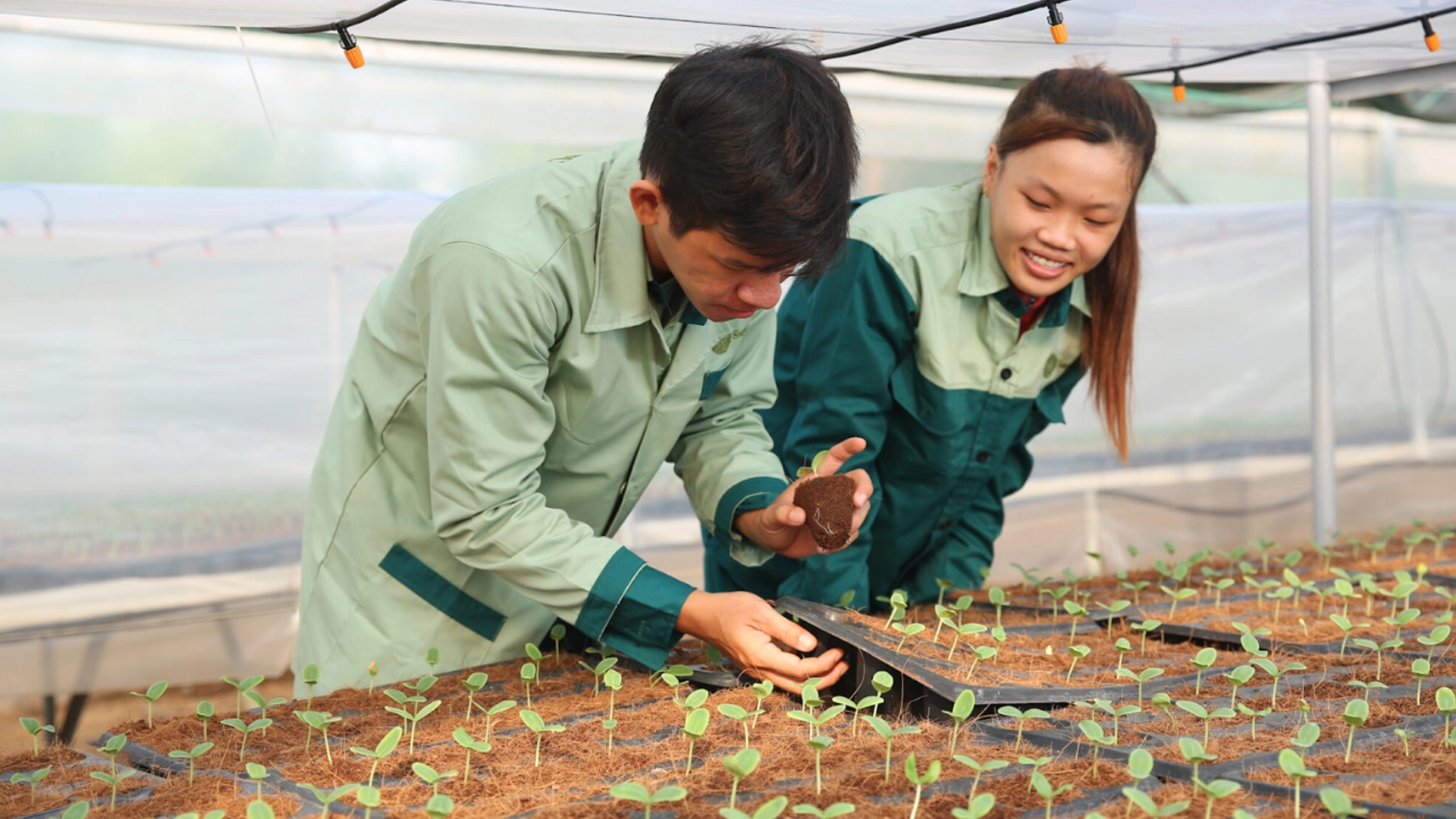 Ăn sạch sống xanh – Xu hướng sống hiện đại và bền vững