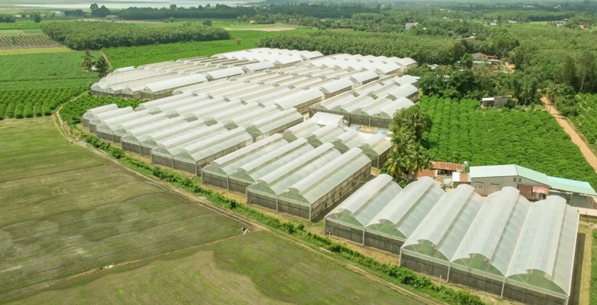 Ăn sạch sống xanh – Xu hướng sống hiện đại và bền vững 