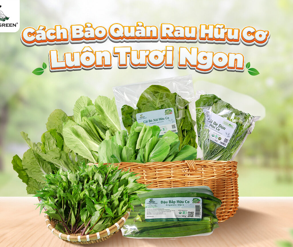 Cách bảo quản rau hữu cơ luôn tươi ngon