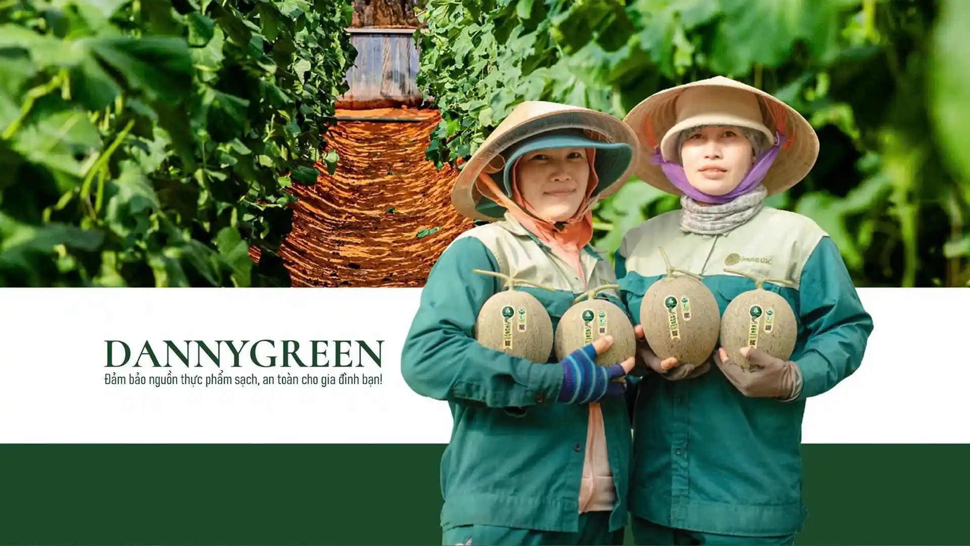 DannyGreen là thương hiệu tiên phong trong sản xuất và phân phối thực phẩm hữu cơ quốc tế