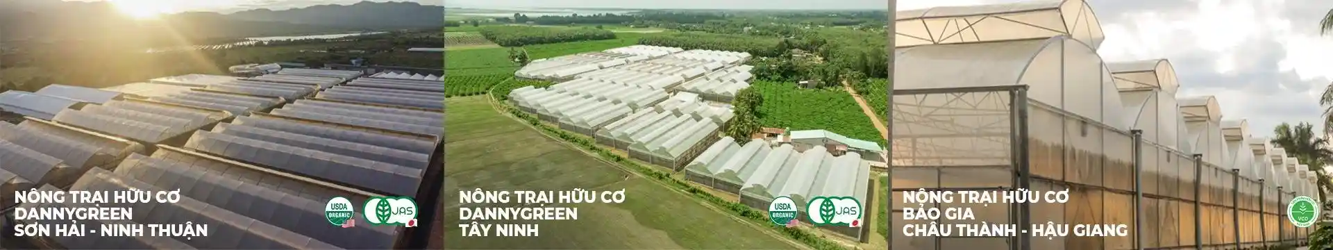 03 Nông Trại Hữu Cơ DannyGreen đạt tiêu chuẩn hữu cơ