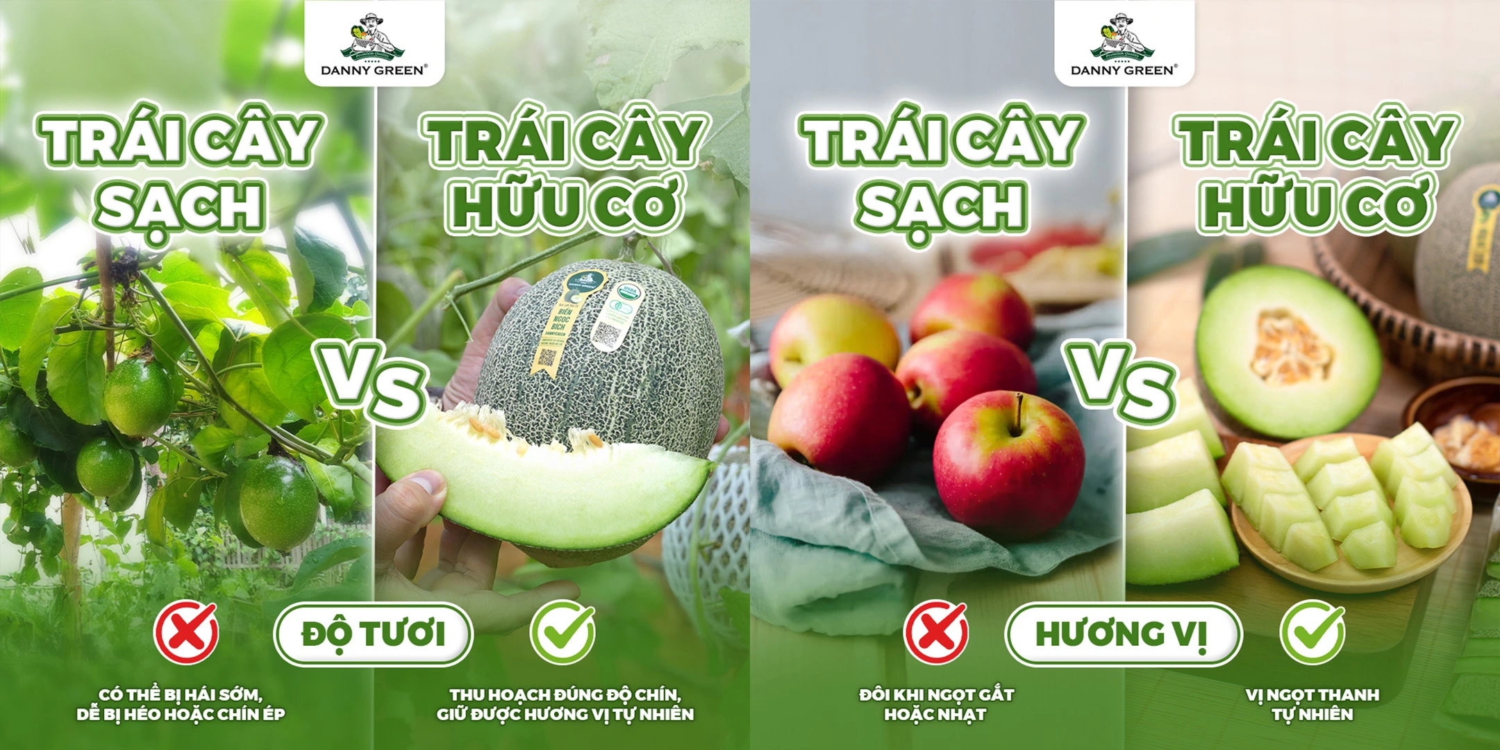 Thực phẩm sạch và thực phẩm hữu cơ: Bạn đã hiểu đúng?