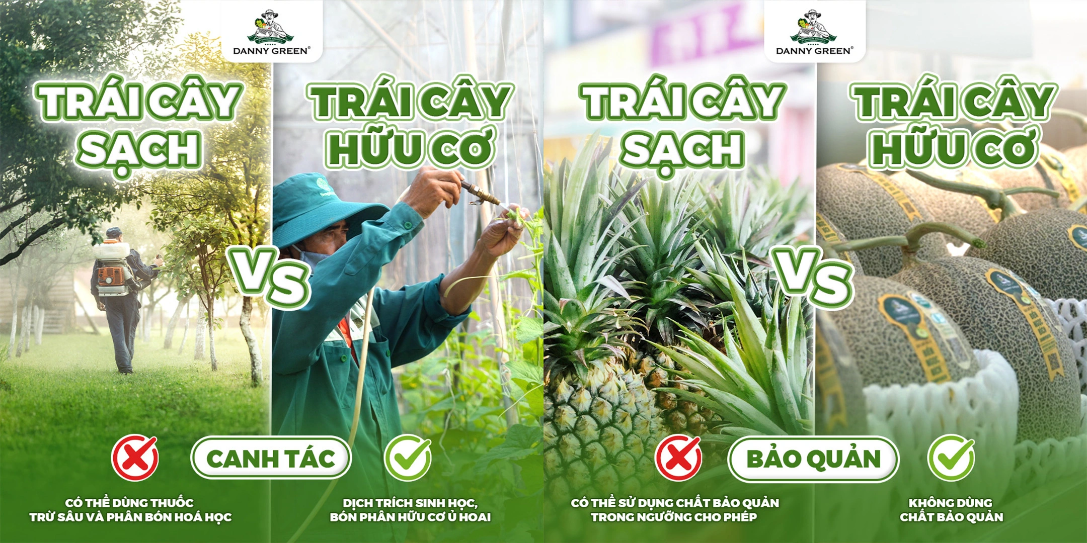 Thực phẩm sạch và thực phẩm hữu cơ: Bạn đã hiểu đúng?
