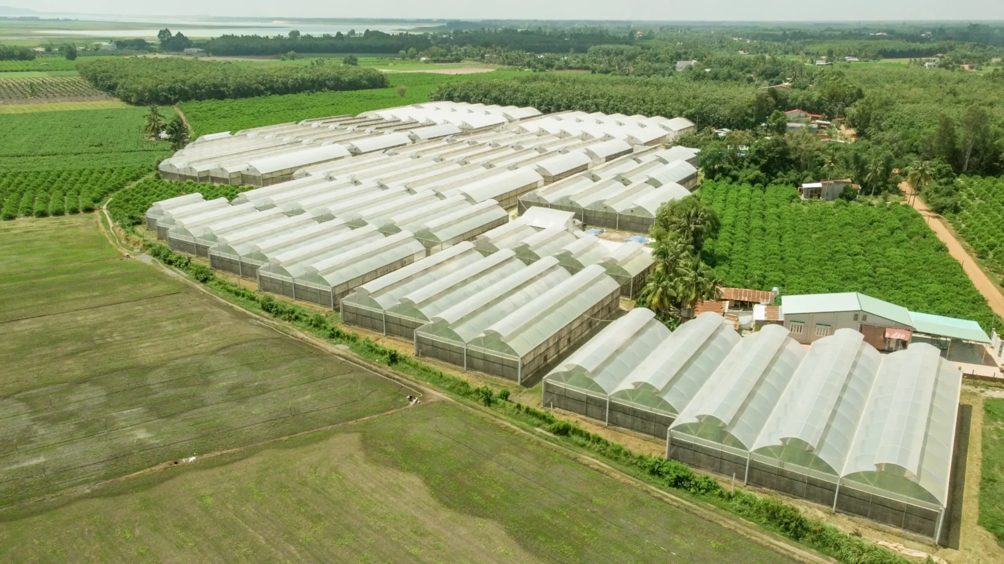 Nông Trại Hữu Cơ DannyGreen Tây Ninh 