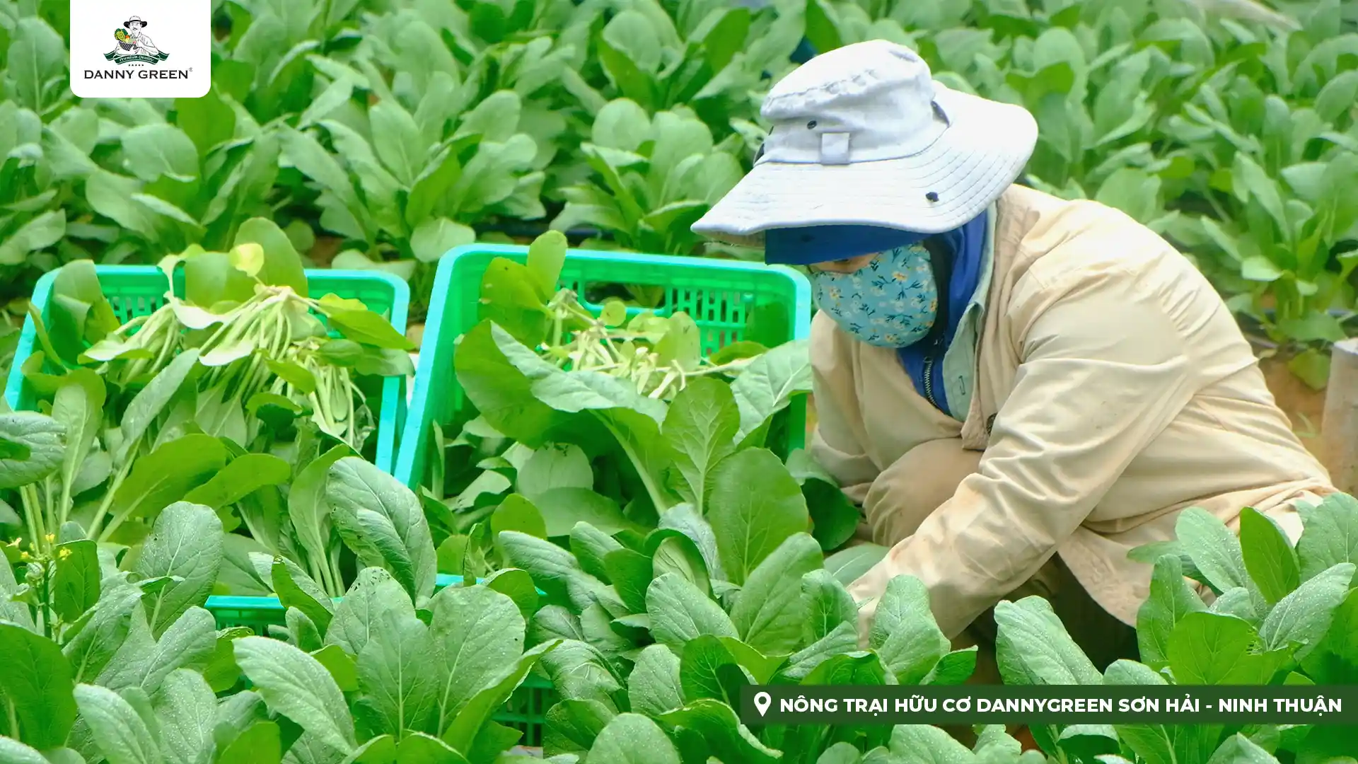 Hành Trình Thầm Lặng Vì Sức Khỏe Người Việt