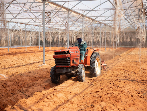 Quy trình làm đất trồng cây