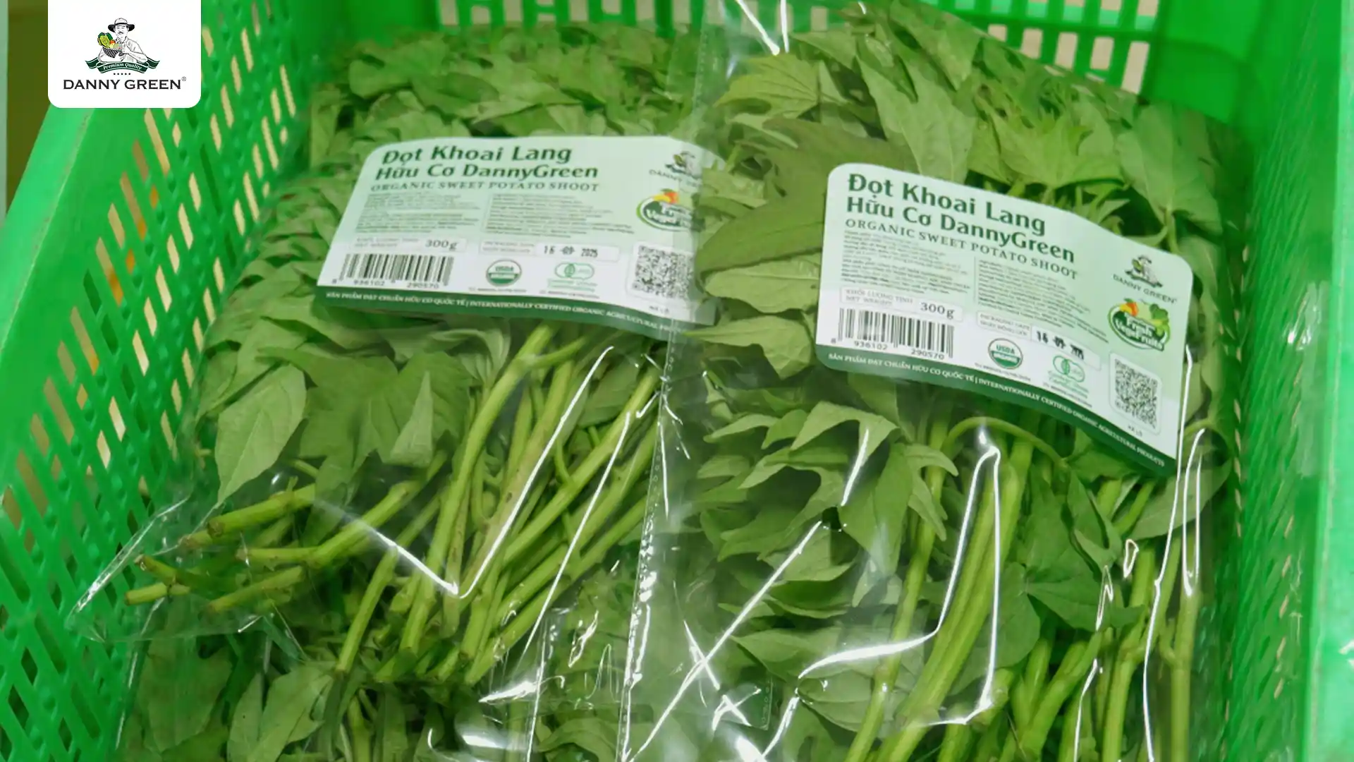 Quy trình đóng gói Rau Hữu Cơ