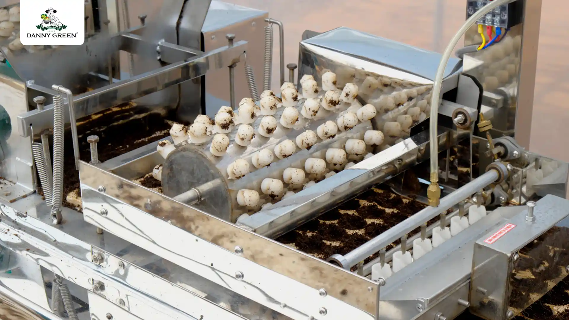 Ứng dụng công nghệ vào canh tác