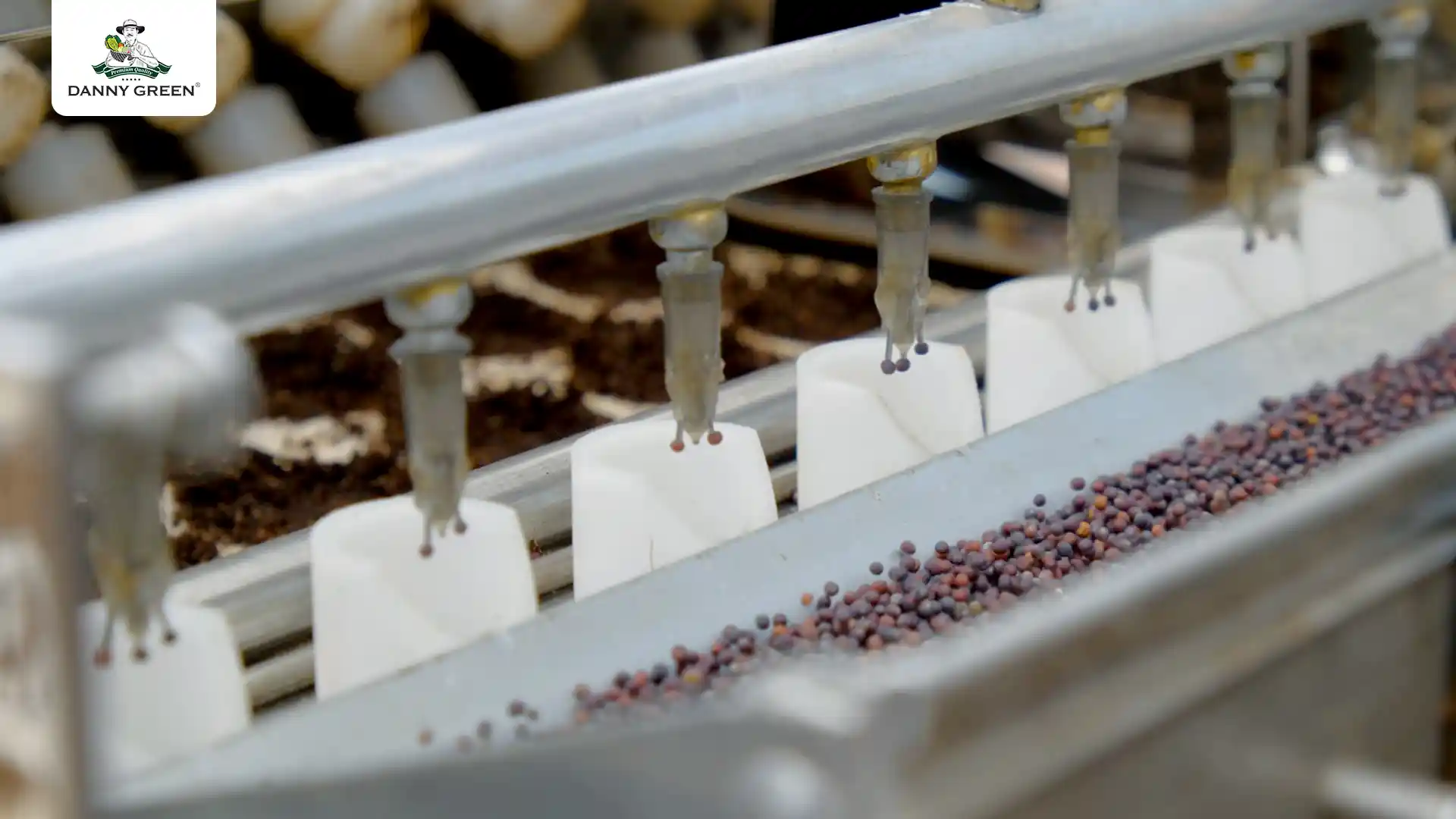  Máy gieo hạt tự động 6 trong 1 