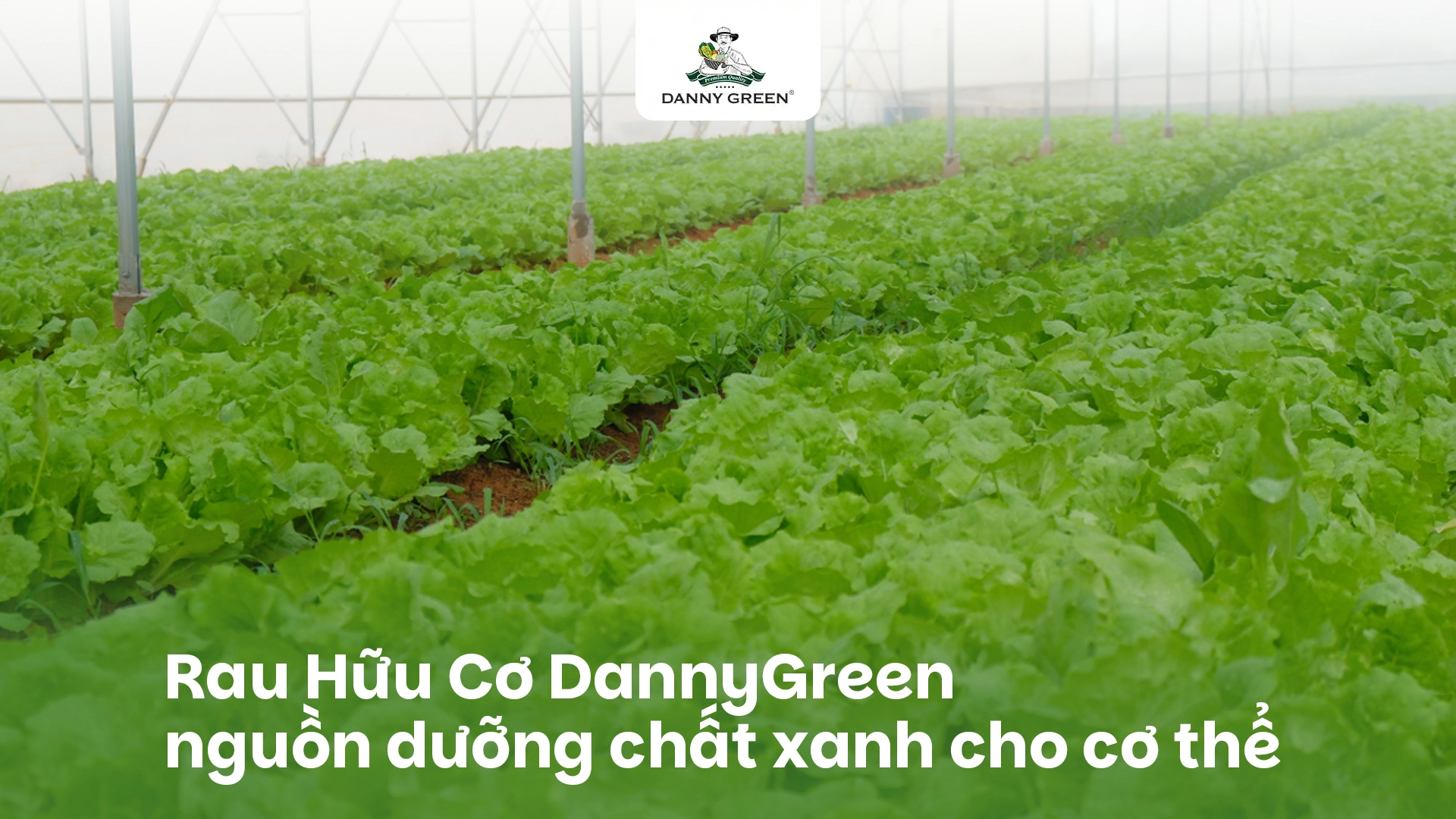 RAU HỮU CƠ VÀ NHỮNG CÁCH CHẾ BIẾN GIÚP BẠN ĂN NGON MỖI NGÀY MÀ KHÔNG NGÁN