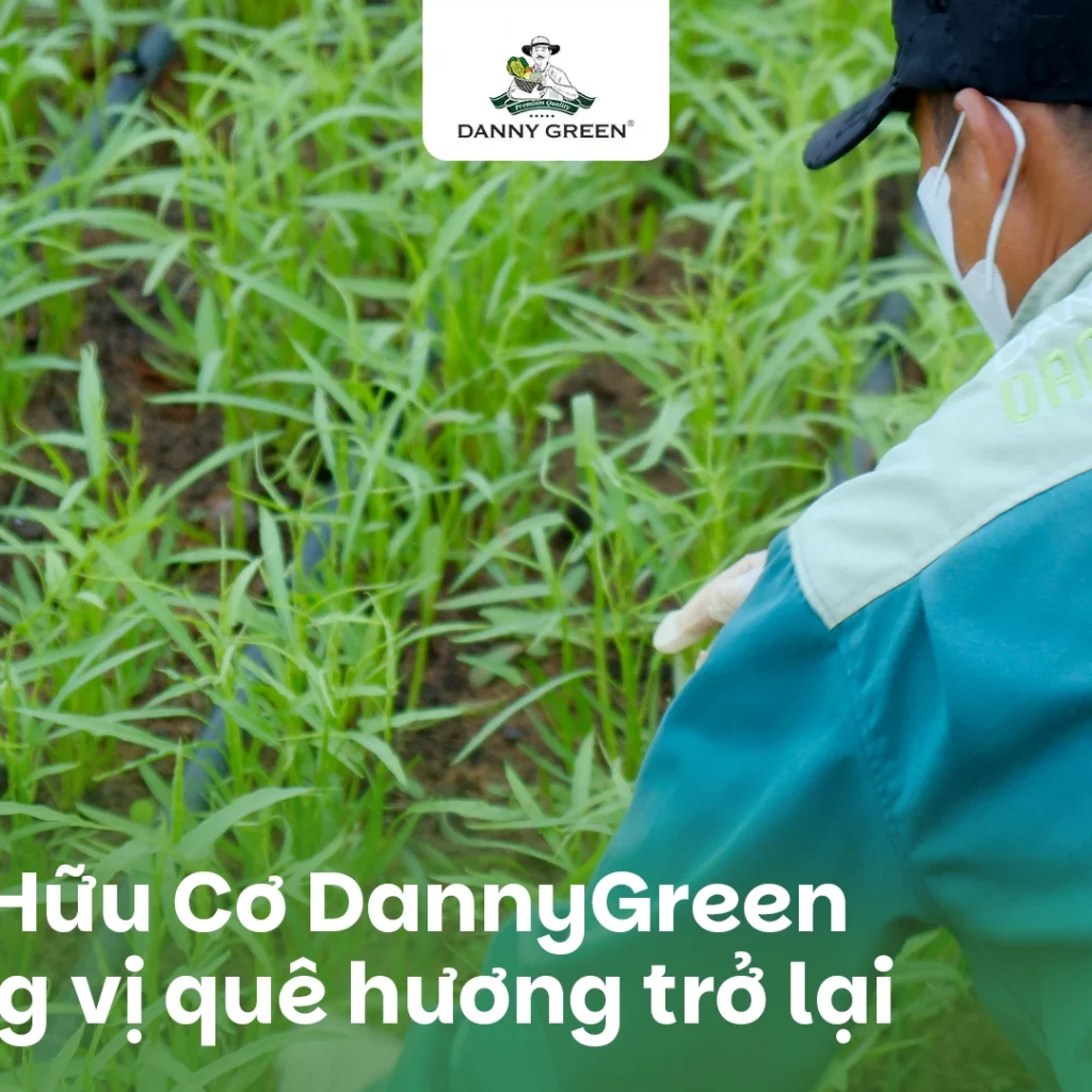 RAU HỮU CƠ TRONG MÓN ĂN DÂN DÃ: GIỮ HỒN QUÊ TRONG TỪNG BỮA CƠM HIỆN ĐẠI