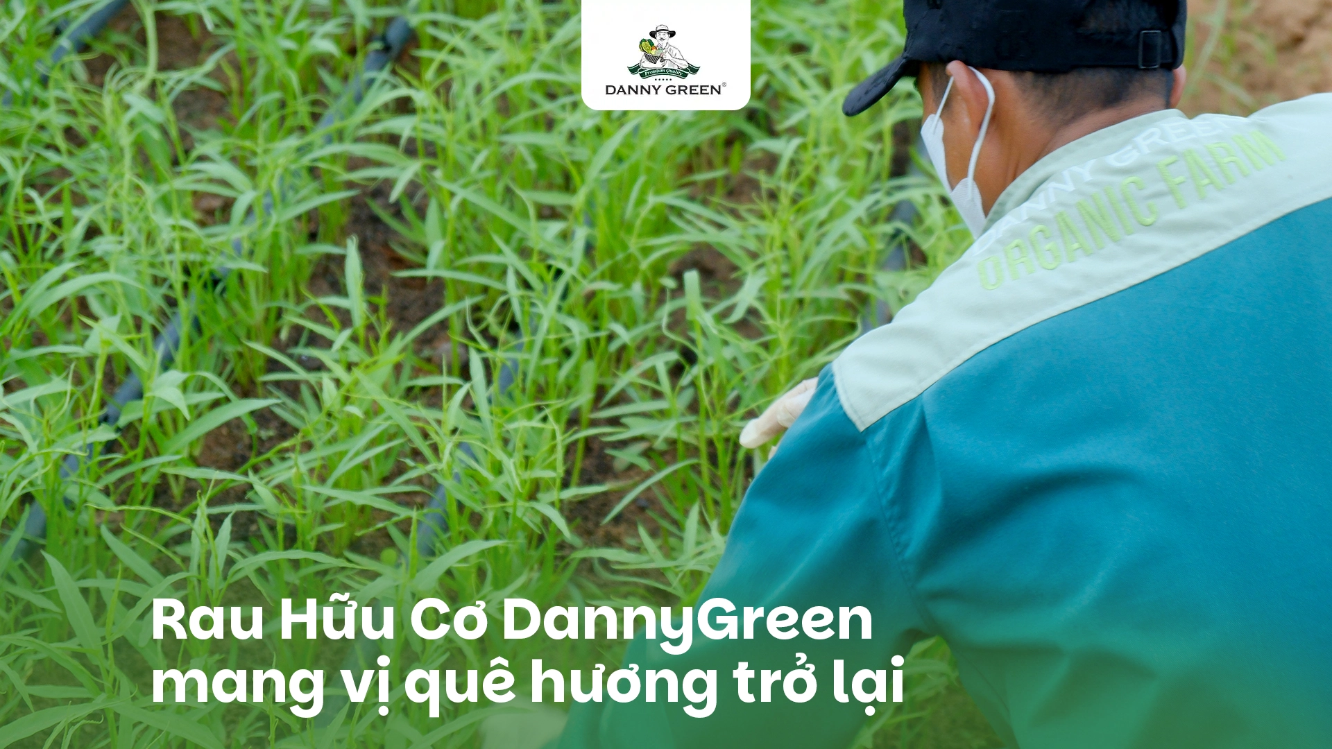 RAU HỮU CƠ TRONG MÓN ĂN DÂN DÃ: GIỮ HỒN QUÊ TRONG TỪNG BỮA CƠM HIỆN ĐẠI