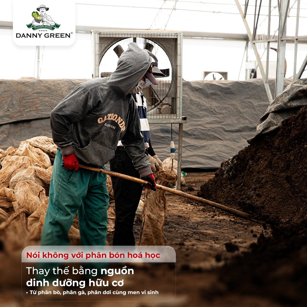 DannyGreen sử dụng phân hữu cơ tự ủ