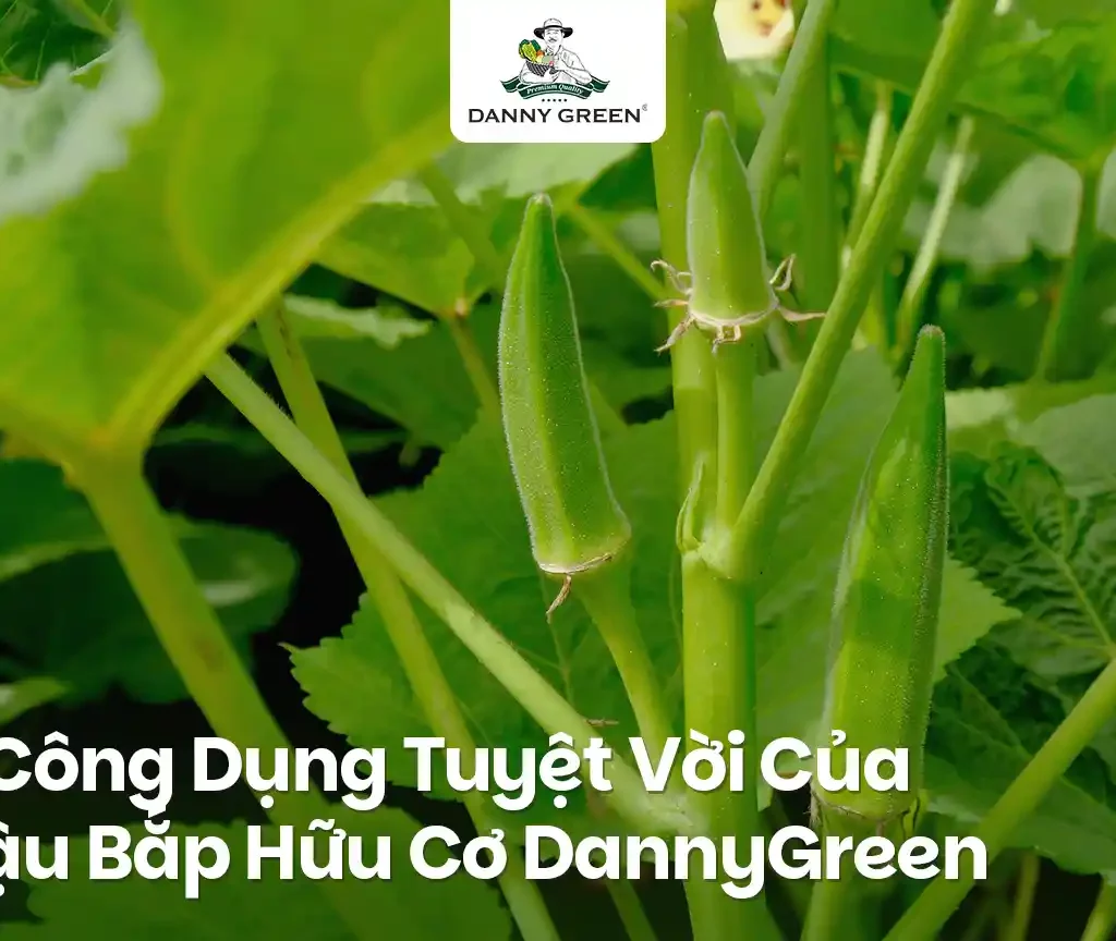 3 Công Dụng Tuyệt Vời Của Đậu Bắp Hữu Cơ Cho Sức Khỏe Và Làm Đẹp