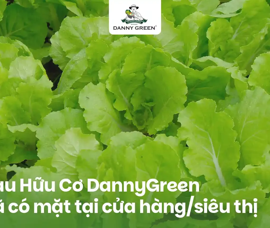 DannyGreen Mở Rộng Hợp Tác Đến Hơn 200 Điểm Phân Phối Rau Hữu Cơ