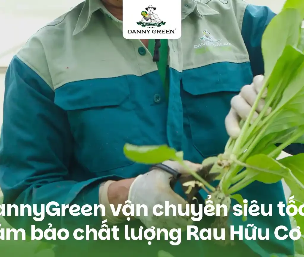 DANNYGREEN VẬN CHUYỂN SIÊU TỐC, ĐẢM BẢO CHẤT LƯỢNG RAU HỮU CƠ TỪ NÔNG TRẠI ĐẾN ĐIỂM BÁN