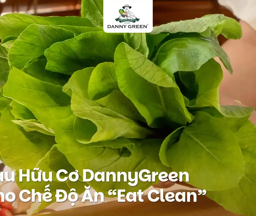 Vì Sao Rau Hữu Cơ DannyGreen Là Lựa Chọn Hoàn Hảo Cho Chế Độ Eat Clean?