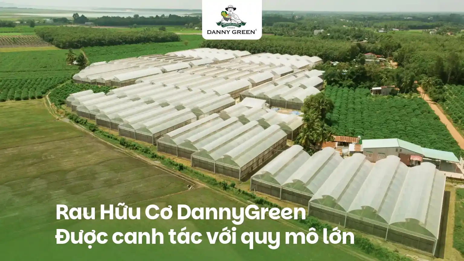 Nông Trại Hữu Cơ DannyGreen – Hành Trình Trồng Rau Xanh Từ Tâm