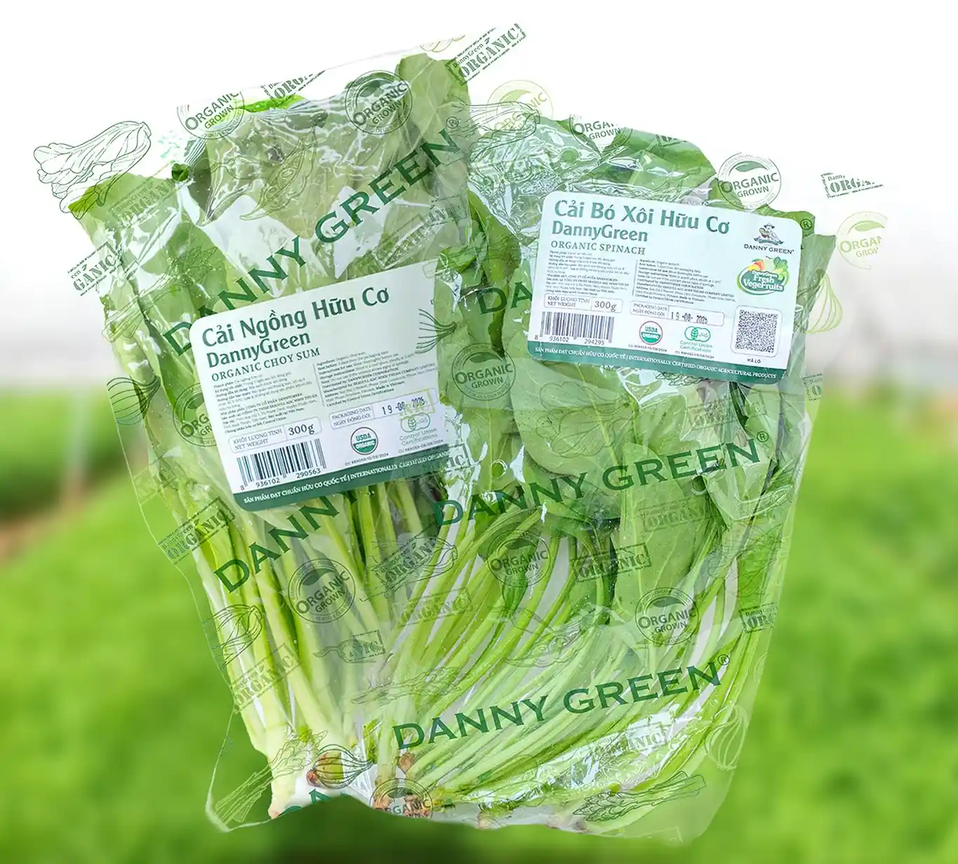 Một số loại Rau Hữu Cơ DannyGreen