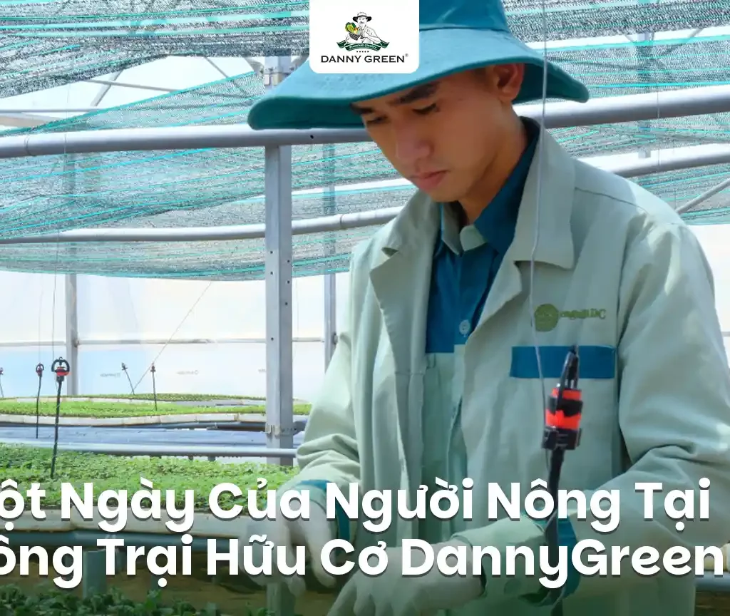 Một Ngày Của Người Nông Dân DannyGreen - Nơi Nông Sản Hữu Cơ Bắt Đầu