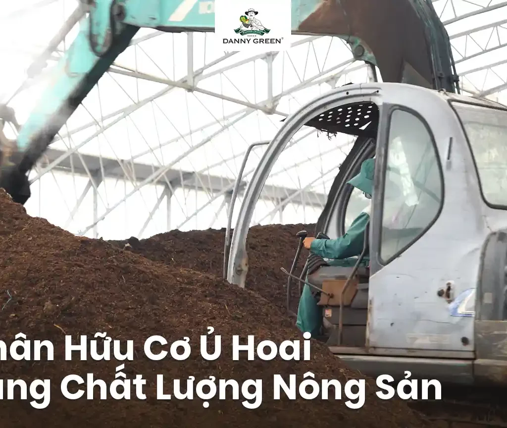 Phân Ủ Hoai: Điều Ít Ai Biết Nhưng Giúp Tăng Chất Lượng Rau Hữu Cơ